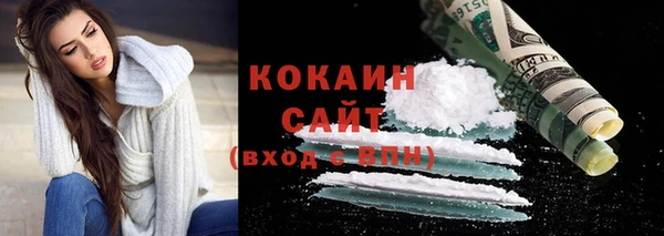 2c-b Гусев